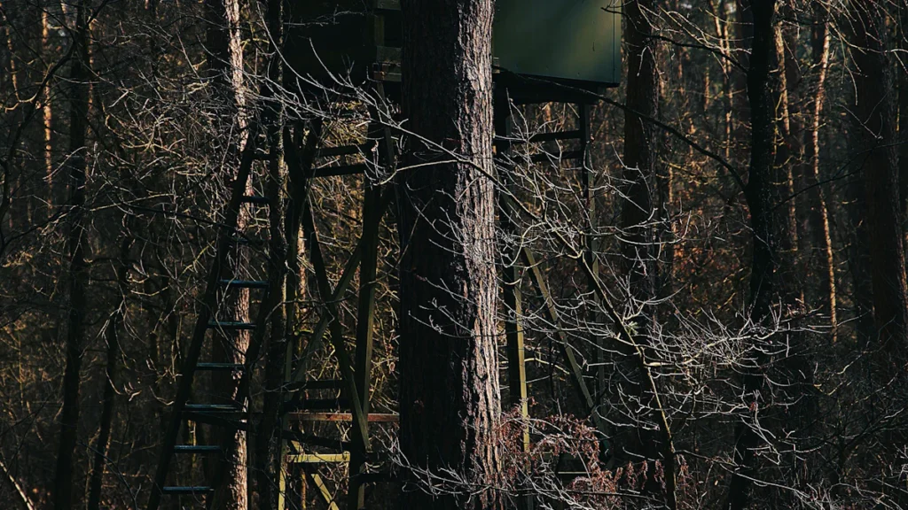 Hunting blind set up in a dense forest